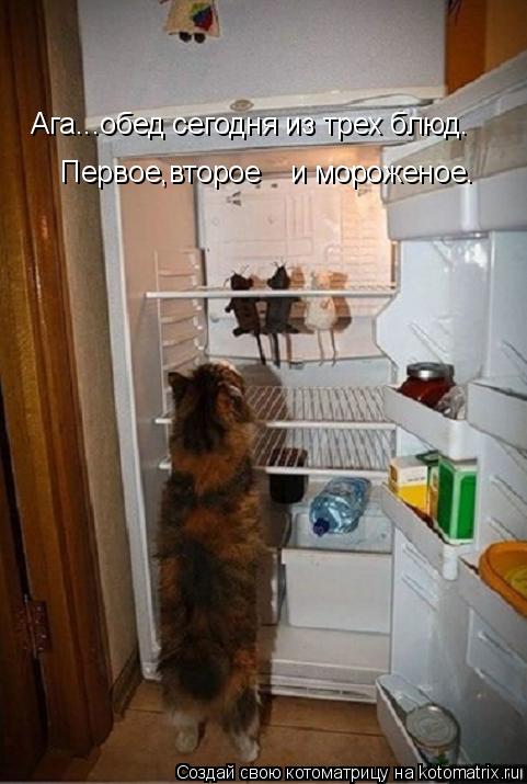 Котоматрица: Ага...обед сегодня из трех блюд. Первое,второе  и мороженое.