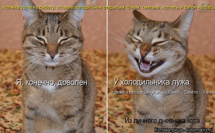 Я, конечно, доволен. У холодильника лужа. Хозяйка поскользнулась... Окно... Земля... Ха-ха Из личного... Котоматрица: Я, конечно, доволен. У холодильника лужа. Хозяйка поскользнулась... Окно... Земля... Ха-ха Из личного дневника кота. Хозяйка ушла на работу, оста