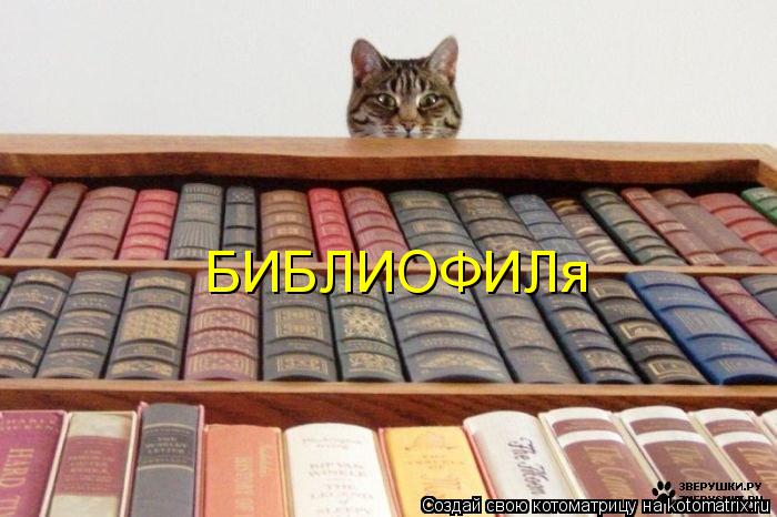 БИБЛИОФИЛя... Котоматрица: БИБЛИОФИЛя