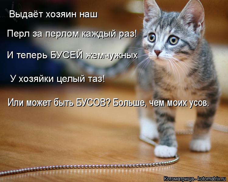 Выдаёт хозяин наш Перл за перлом каждый раз! И теперь БУСЕЙ жемчужных У хозяйки целый таз! Или может... Котоматрица: Выдаёт хозяин наш Перл за перлом каждый раз! И теперь БУСЕЙ жемчужных У хозяйки целый таз! Или может быть БУСОВ? Больше, чем моих усов.