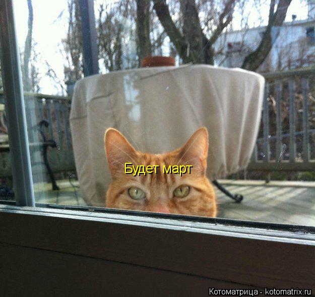 Котоматрица: Будет март