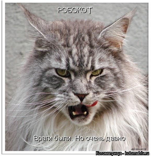 Котоматрица: РОБОКО Т Враги были. Но очень давно