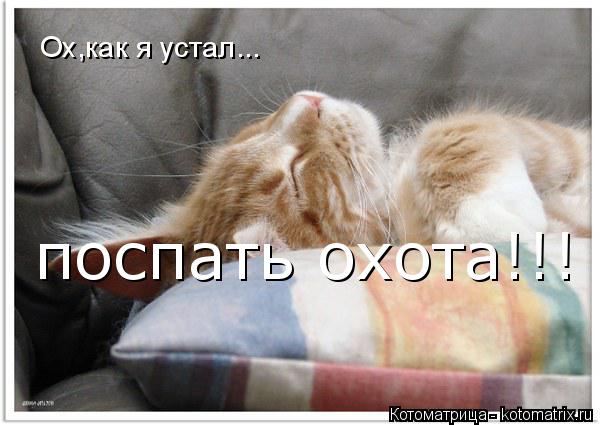 Котоматрица: Ох,как я устал... поспать охота!!!