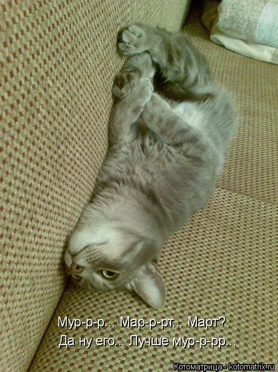 Котоматрица: Мур-р-р... Мар-р-рт... Март? Да ну его... Лучше мур-р-рр...