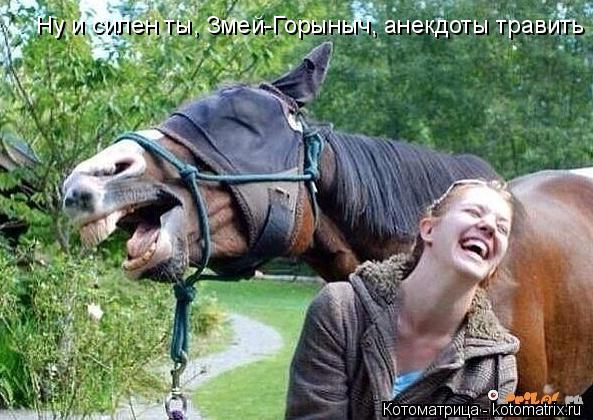 Ну и силен ты, Змей-Горыныч, анекдоты травить... Котоматрица: Ну и силен ты, Змей-Горыныч, анекдоты травить