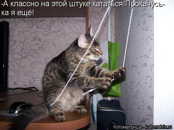 -А классно на этой штуке кататься!Прокачусь- ка я ещё!... Котоматрица: -А классно на этой штуке кататься!Прокачусь- ка я ещё!