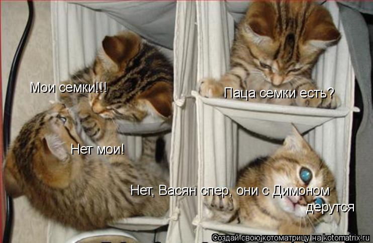 Паца семки есть? Нет, Васян спер, они с Димоном дерутся Мои семки!!! Нет мои!... Котоматрица: Паца семки есть? Нет, Васян спер, они с Димоном дерутся Мои семки!!! Нет мои!