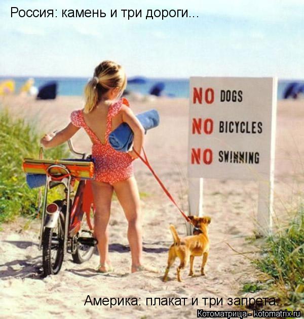 Россия: камень и три дороги... Америка: плакат и три запрета...... Котоматрица: Россия: камень и три дороги... Америка: плакат и три запрета...