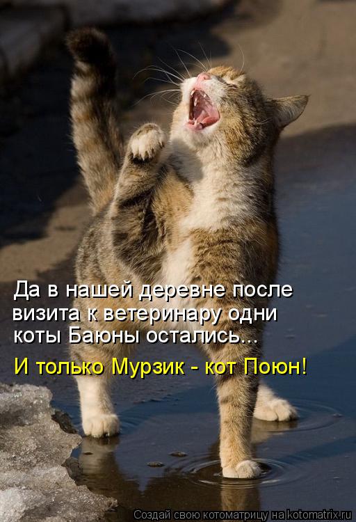 Котоматрица: Да в нашей деревне после  визита к ветеринару одни коты Баюны остались... И только Мурзик - кот Поюн!
