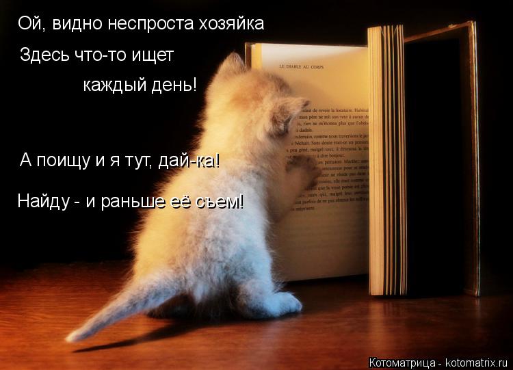 каждый день! Ой, видно неспроста хозяйка А поищу и я тут, дай-ка! Найду - и раньше её съем! Здесь что... Котоматрица: каждый день! Ой, видно неспроста хозяйка А поищу и я тут, дай-ка! Найду - и раньше её съем! Здесь что-то ищет