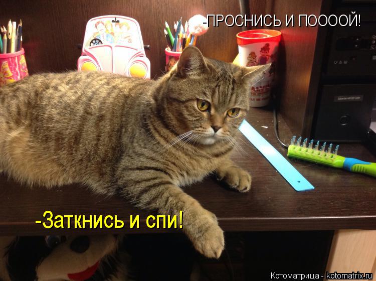 -ПРОСНИСЬ И ПООООЙ! -Заткнись и спи!... Котоматрица: -ПРОСНИСЬ И ПООООЙ! -Заткнись и спи!
