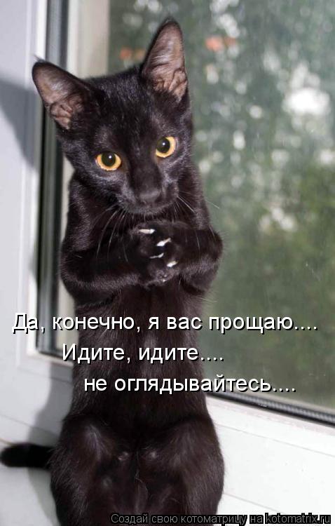 Котоматрица: Да, конечно, я вас прощаю....  Идите, идите....  не оглядывайтесь....