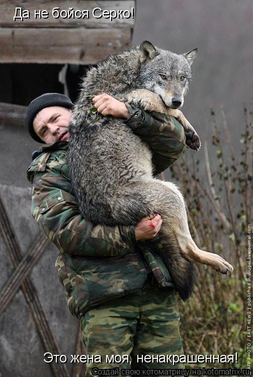 Котоматрица: Да не бойся Серко! Это жена моя, ненакрашенная!