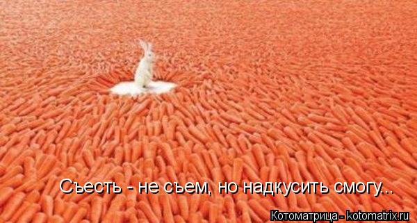 Котоматрица: Съесть - не съем, но надкусить смогу...