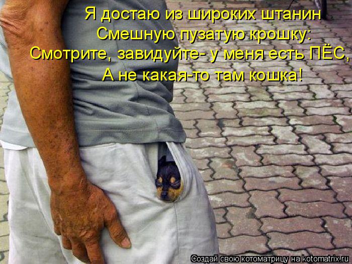 Я достаю из широких штанин Смешную пузатую крошку: Смотрите, завидуйте- у меня есть ПЁС, А не какая-т... Котоматрица: Я достаю из широких штанин Смешную пузатую крошку: Смотрите, завидуйте- у меня есть ПЁС, А не какая-то там кошка!