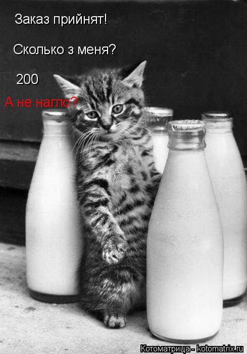 Заказ прийнят! Сколько з меня? 200 А не нагло?... Котоматрица: Заказ прийнят! Сколько з меня? 200 А не нагло?