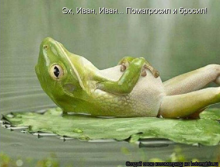 Котоматрица: Эх, Иван, Иван... Поматросил и бросил!