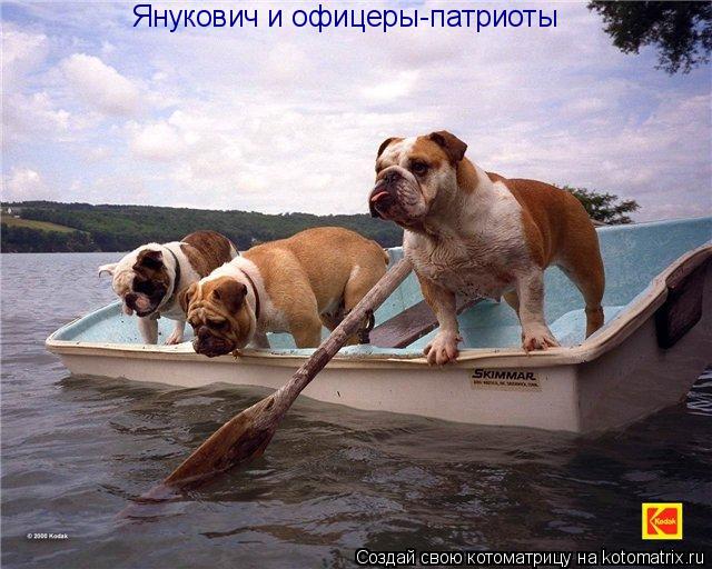 Котоматрица: Янукович и офицеры-патриоты