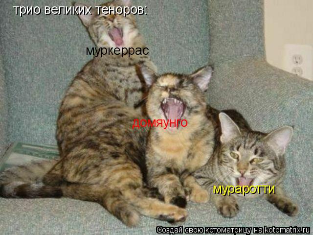 Котоматрица: трио великих теноров: муркеррас домяунго мурарр мураротти