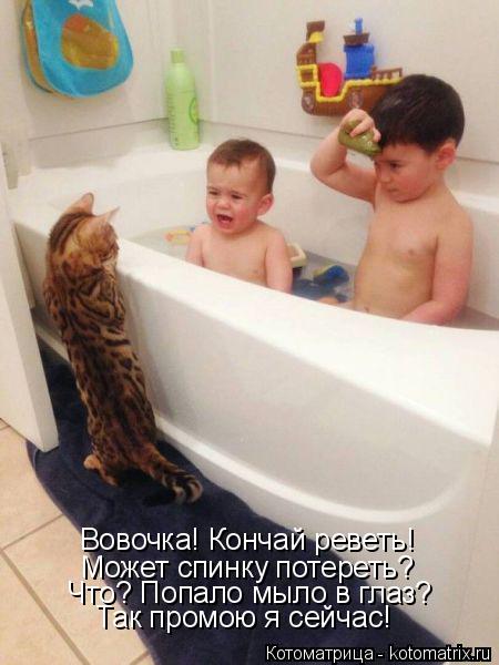 Вовочка! Кончай реветь! Может спинку потереть? Что? Попало мыло в глаз? Так промою я сейчас!... Котоматрица: Вовочка! Кончай реветь! Может спинку потереть? Что? Попало мыло в глаз? Так промою я сейчас!