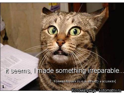 Котоматрица: it seems, I made something irreparable... [кажется я сделал что-то непоправимое...]