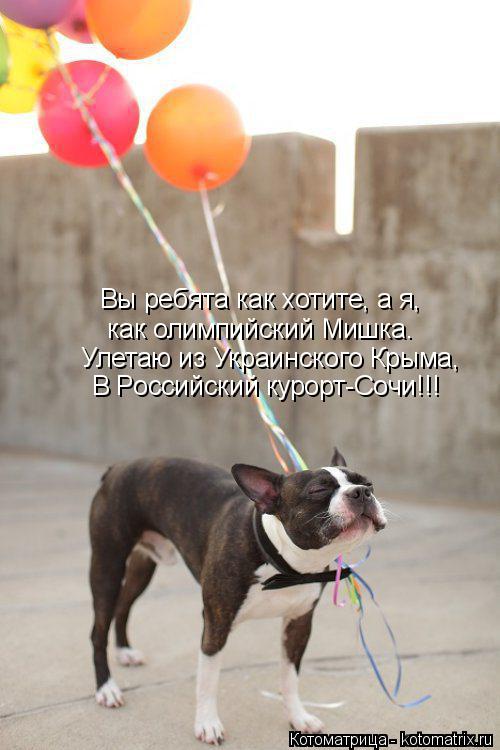 Котоматрица: Вы ребята как хотите, а я,   как олимпийский Мишка. Улетаю из Украинского Крыма, В Российский курорт-Сочи!!!