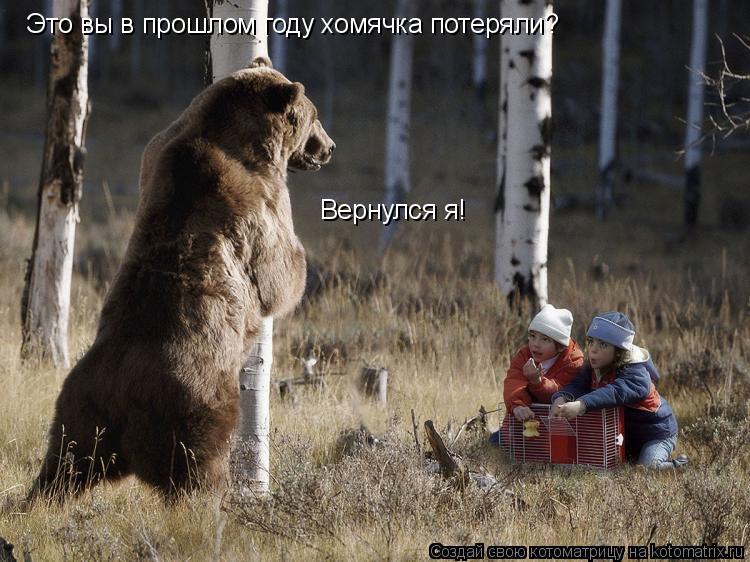 Котоматрица: Это вы в прошлом году хомячка потеряли? Вернулся я!