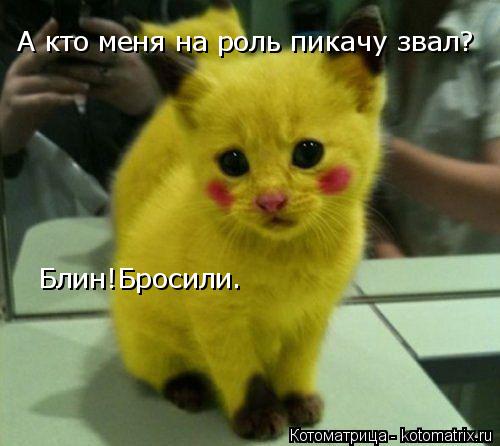 Котоматрица: А кто меня на роль пикачу звал? Блин!Бросили.