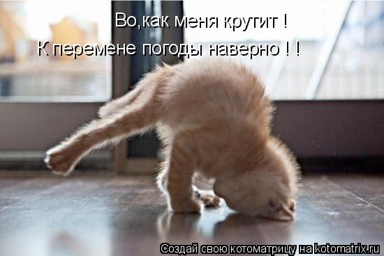 Во,как меня крутит ! К перемене погоды наверно ! !... Котоматрица: Во,как меня крутит ! К перемене погоды наверно ! !