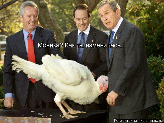 Котоматрица: Моника? Как ты изменилась...