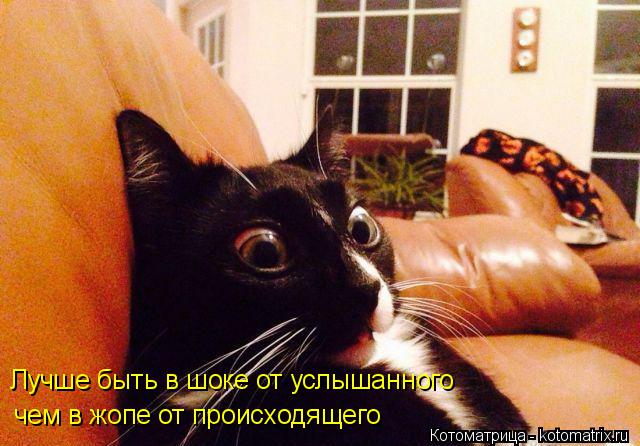 Котоматрица: Лучше быть в шоке от услышанного чем в жопе от происходящего