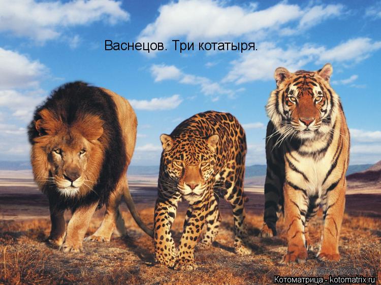 Котоматрица: Васнецов. Три котатыря.