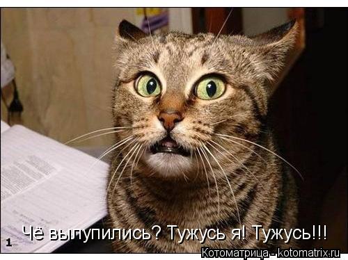 Котоматрица: Чё вылупились? Тужусь я! Тужусь!!!