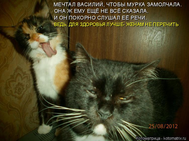 Котоматрица: МЕЧТАЛ ВАСИЛИЙ, ЧТОБЫ МУРКА ЗАМОЛЧАЛА. ОНА Ж ЕМУ ЕЩЁ НЕ ВСЁ СКАЗАЛА. И ОН ПОКОРНО СЛУШАЛ ЕЁ РЕЧИ. ВЕДЬ, ДЛЯ ЗДОРОВЬЯ ЛУЧШЕ- ЖЕНАМ НЕ ПЕРЕЧИТЬ