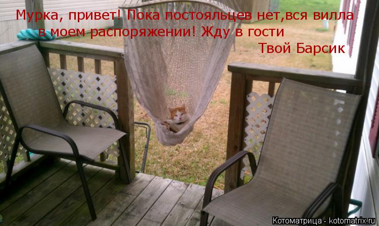 Котоматрица: Мурка, привет! Пока постояльцев нет,вся вилла в моем распоряжении! Жду в гости Твой Барсик