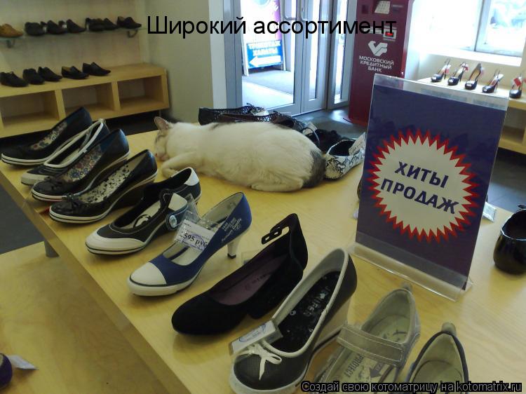 Котоматрица: Широкий ассортимент