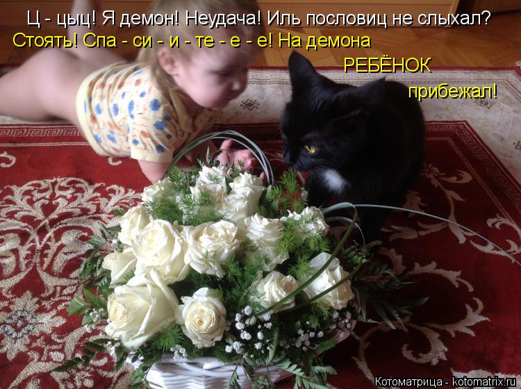 Котоматрица: Ц - цыц! Я демон! Неудача! Иль пословиц не слыхал? Стоять! Спа - си - и - те - е - е! На демона РЕБЁНОК прибежал!