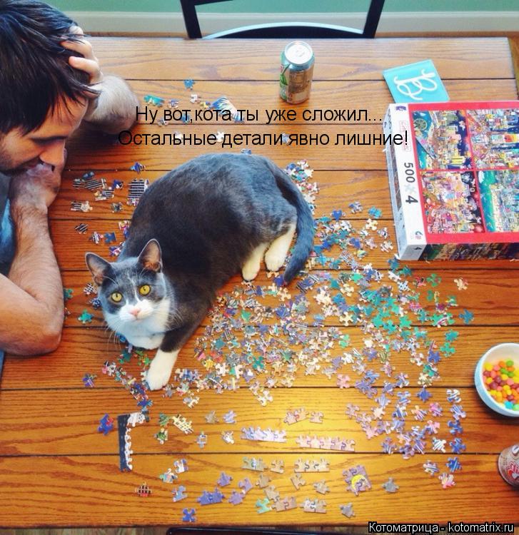 Котоматрица: Ну вот,кота ты уже сложил...  Остальные детали явно лишние!
