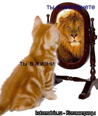 Котоматрица: ты в жизни ты в интернете