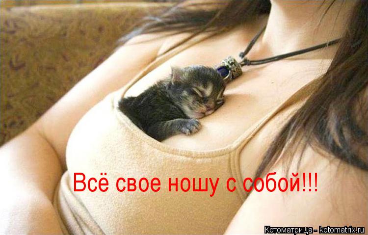 Котоматрица: Всё свое ношу с собой!!!