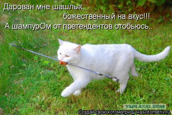Котоматрица: Дарован мне шашлык, божественный на вкус!!!  А шампурОм от претендентов отобьюсь..