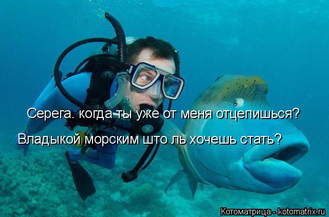 Котоматрица: Серега. когда ты уже от меня отцепишься? Владыкой морским што ль хочешь стать?