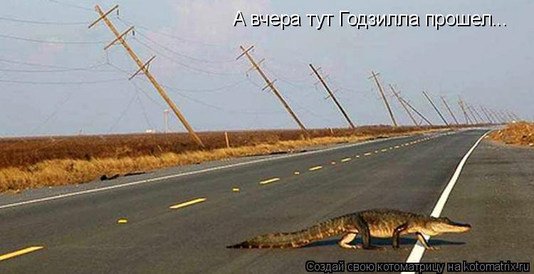 Котоматрица: А вчера тут Годзилла прошел...