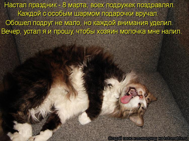 Котоматрица: Настал праздник - 8 марта, всех подружек поздравлял. Каждой с особым шармом подарочки вручал. Обошел подруг не мало, но каждой внимания удели