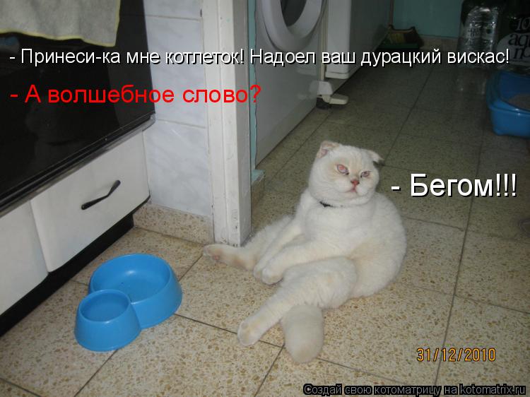 Котоматрица: - Принеси-ка мне котлеток! Надоел ваш дурацкий вискас! - А волшебное слово?   - Бегом!!!