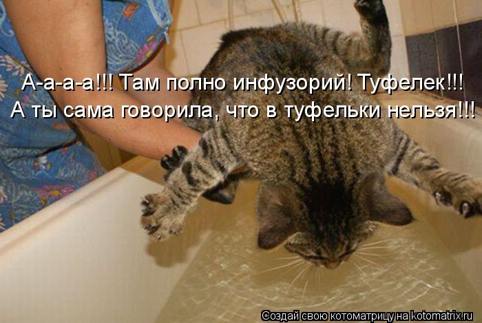 Котоматрица: А-а-а-а!!! Там полно инфузорий! Туфелек!!! А ты сама говорила, что в туфельки нельзя!!!