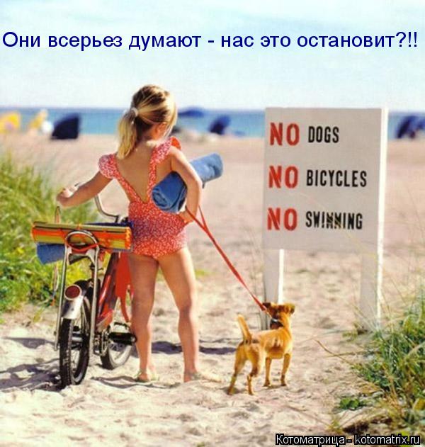 Котоматрица: Они всерьез думают - нас это остановит?!!