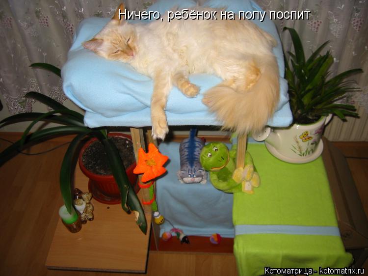 Котоматрица: Ничего, ребёнок на полу поспит