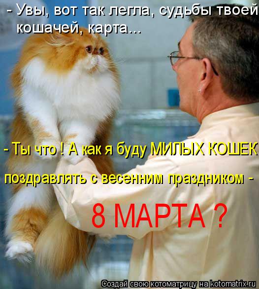 - Увы, вот так легла, судьбы твоей кошачей, карта... - Ты что ! А как я буду МИЛЫХ КОШЕК поздравлять ... Котоматрица: - Увы, вот так легла, судьбы твоей кошачей, карта... - Ты что ! А как я буду МИЛЫХ КОШЕК поздравлять с весенним праздником - 8 МАРТА ?