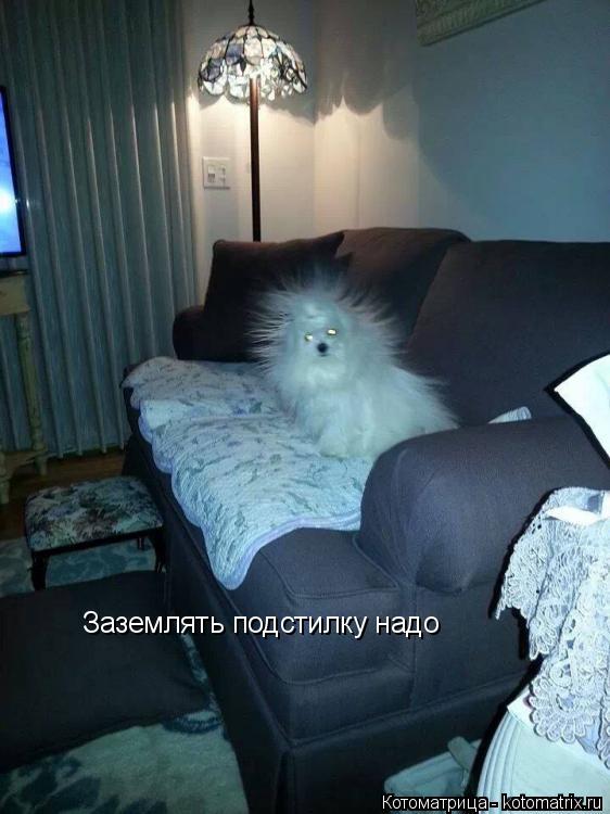Котоматрица: Заземлять подстилку надо